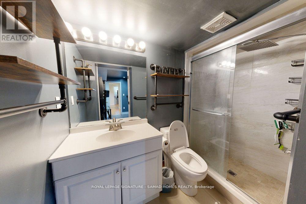 Bsmt - 456 Barondale Drive, Mississauga, Ontario  L4Z 3W2 - Photo 23 - W13573652