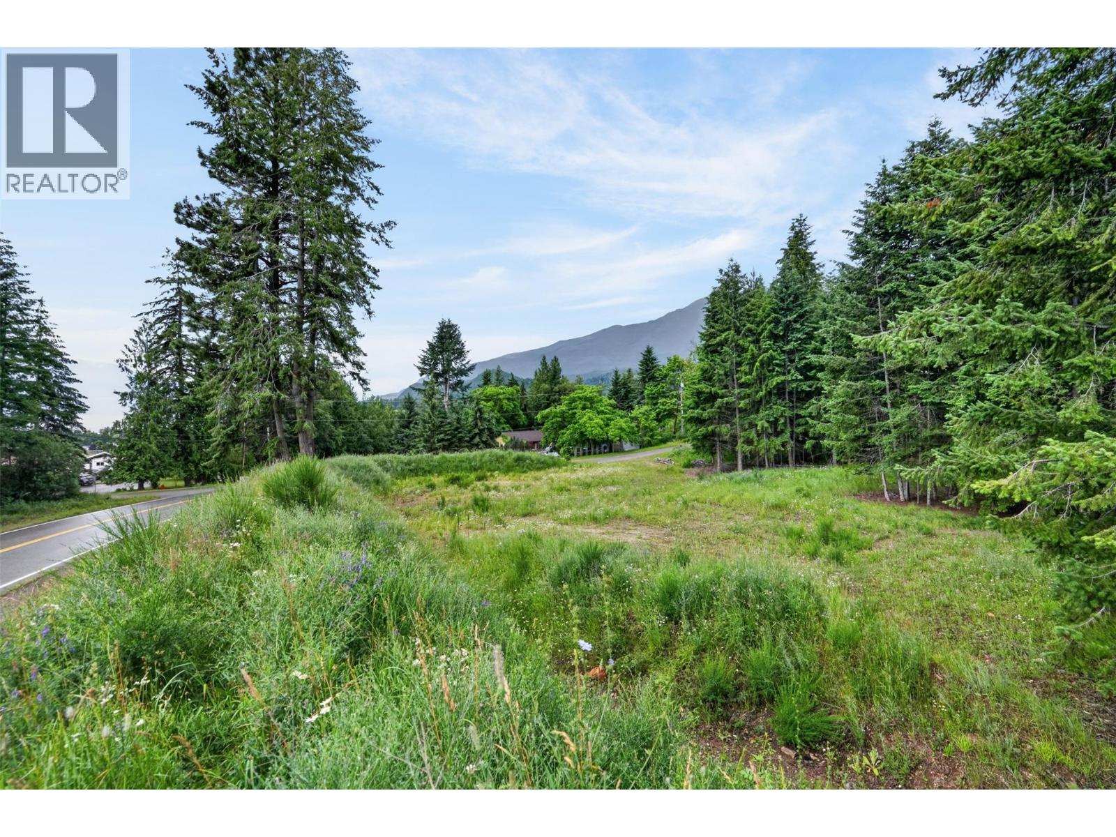 Pcl A Hillside Avenue, Kaslo, British Columbia  V0G 1M0 - Photo 13 - 10394495