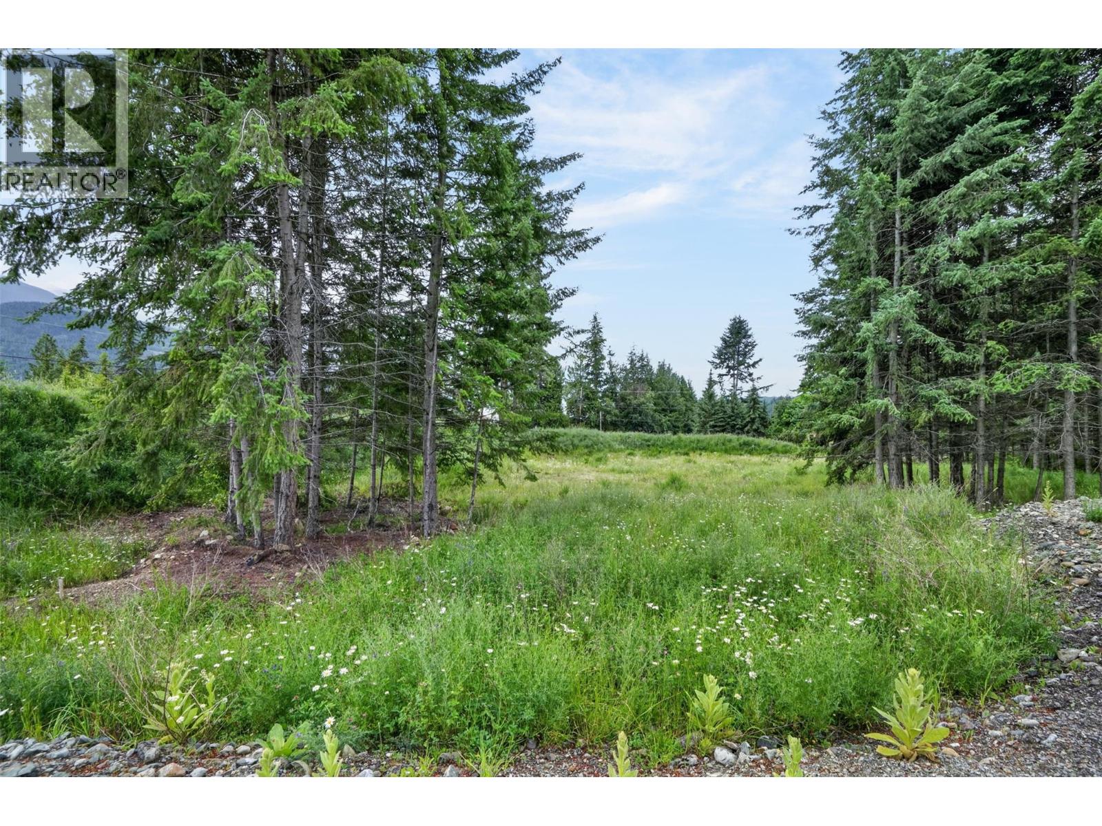 Pcl A Hillside Avenue, Kaslo, British Columbia  V0G 1M0 - Photo 14 - 10394495