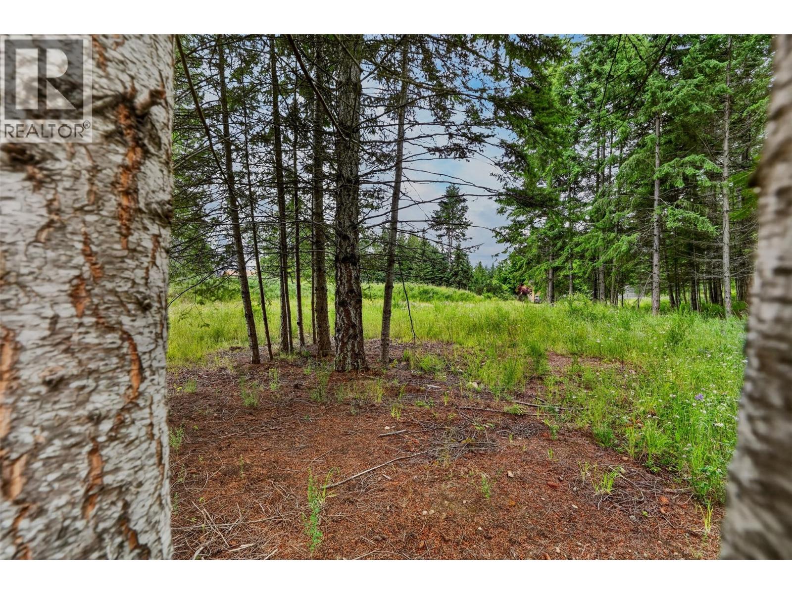 Pcl A Hillside Avenue, Kaslo, British Columbia  V0G 1M0 - Photo 16 - 10394495