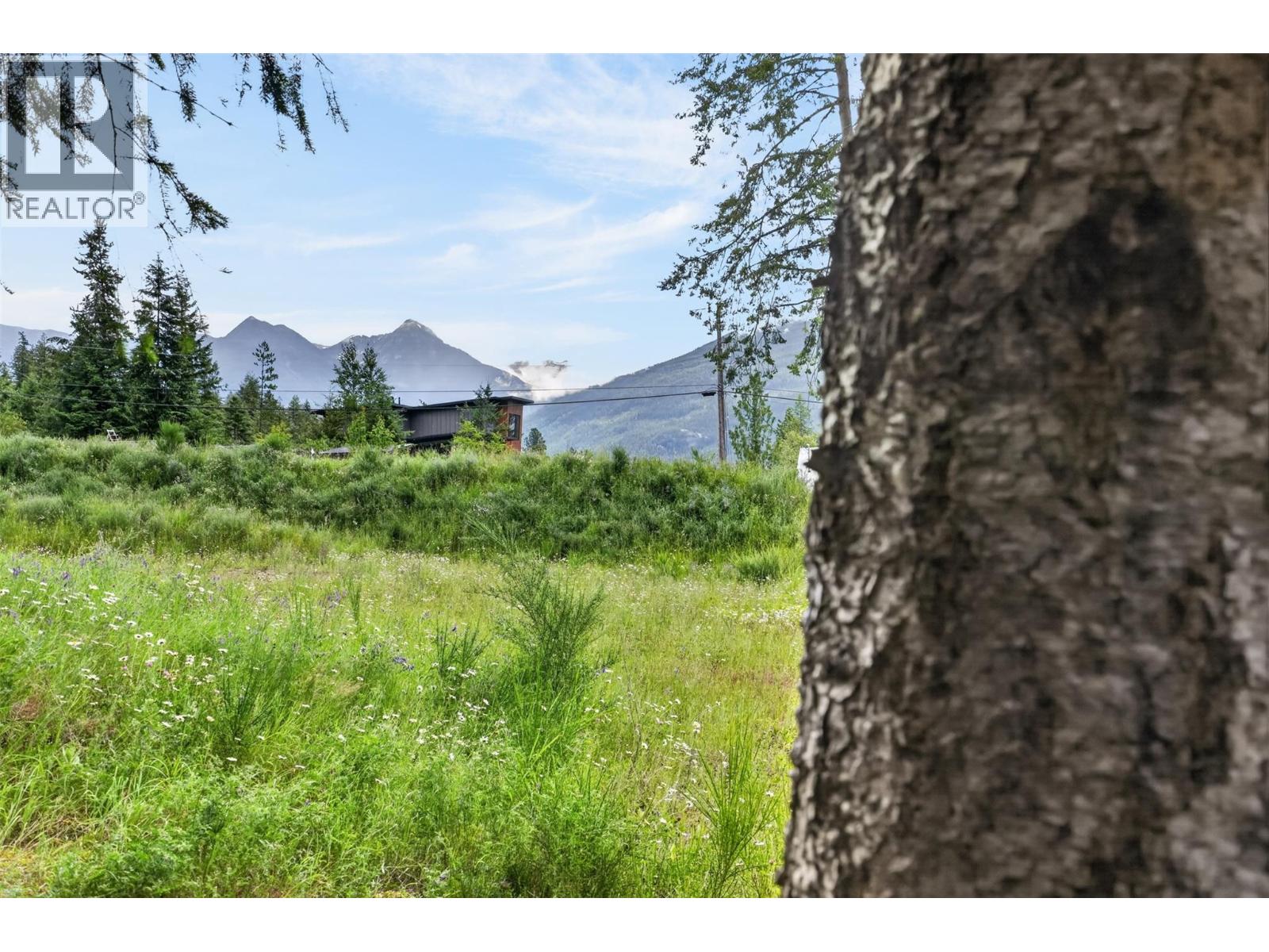 Pcl A Hillside Avenue, Kaslo, British Columbia  V0G 1M0 - Photo 21 - 10394495