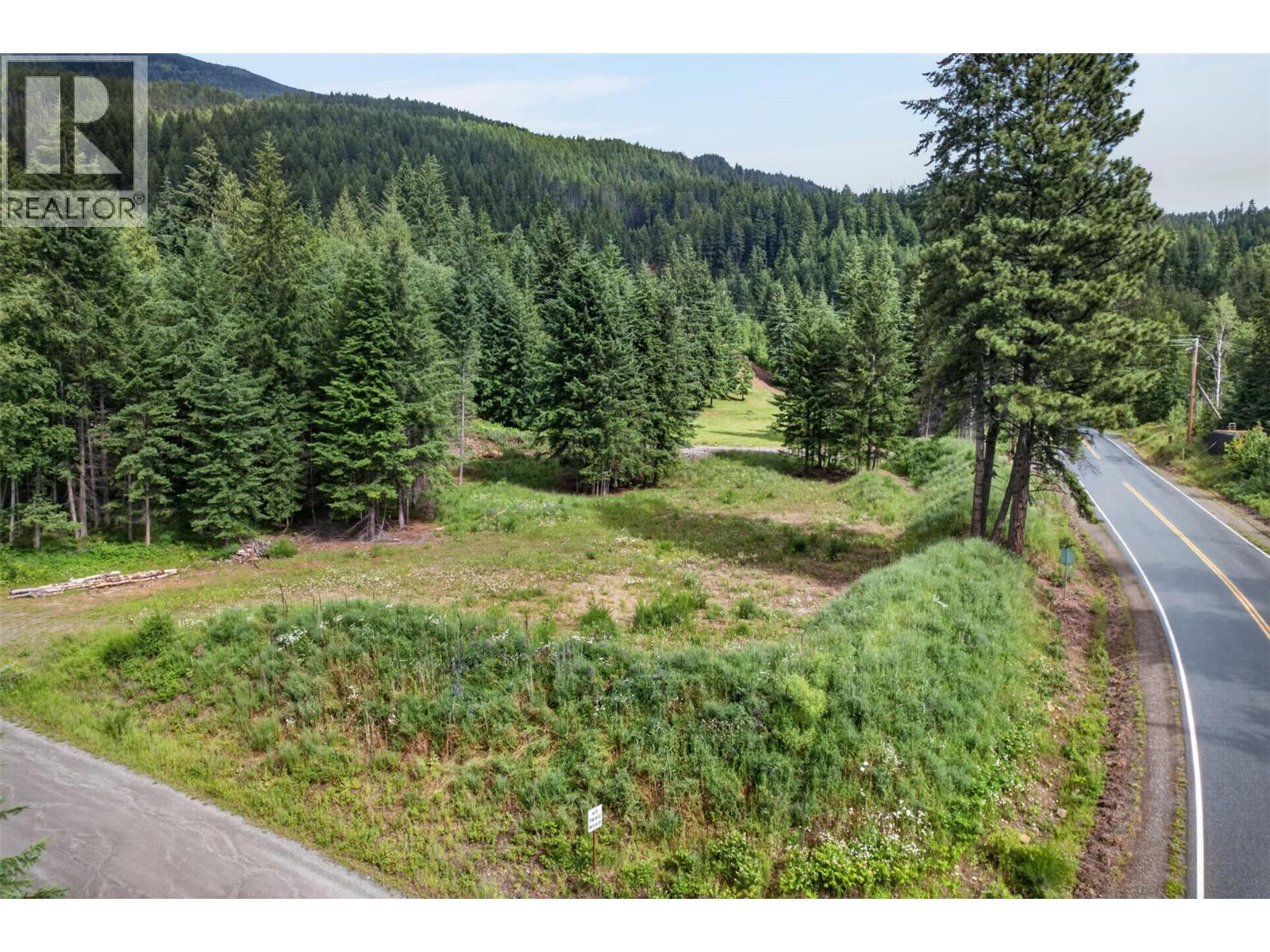 Pcl A Hillside Avenue, Kaslo, British Columbia  V0G 1M0 - Photo 25 - 10394495