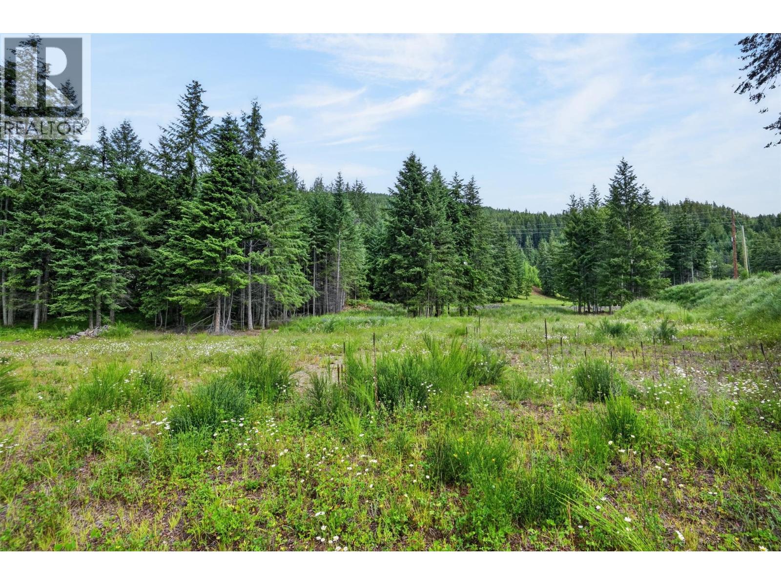 Pcl A Hillside Avenue, Kaslo, British Columbia  V0G 1M0 - Photo 3 - 10394495