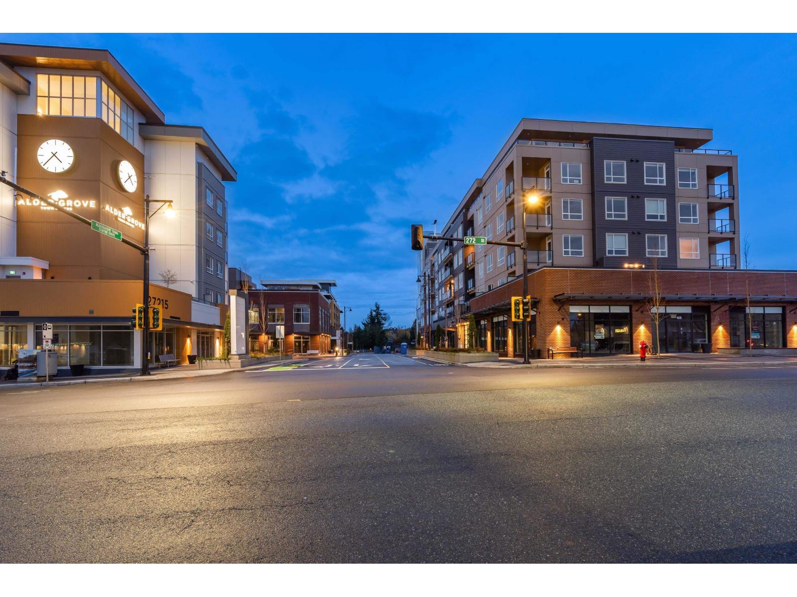 203 27218 Aldergrove Town Centre Drive, Langley, British Columbia  V4W 3N7 - Photo 38 - R3147013