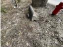 86 Old Town Road, Sicamous, BC V0E 2V4