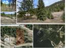 86 Old Town Road, Sicamous, BC V0E 2V4