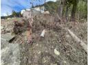 86 Old Town Road, Sicamous, BC V0E 2V4