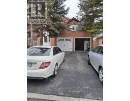 BASEMENT - 14 KINGSBORO ROAD E, Markham, Ontario