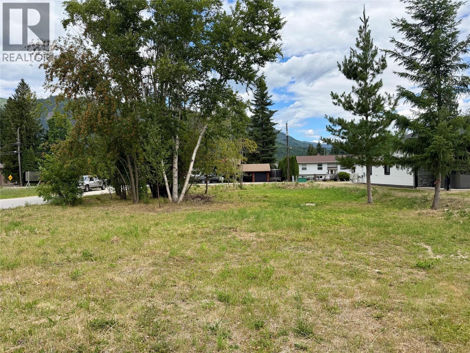 719 Parksville Street, Sicamous, British Columbia  V0E 2V0 - Photo 6 - 10366356