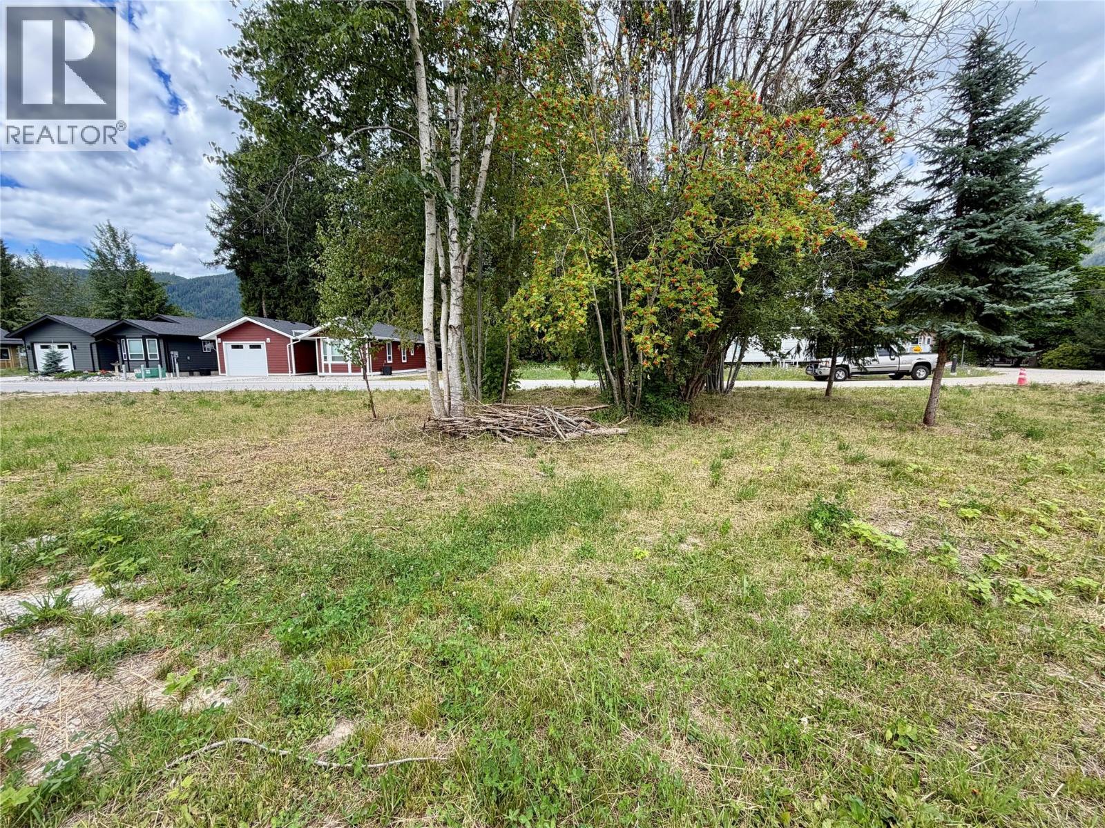 719 Parksville Street, Sicamous, British Columbia  V0E 2V0 - Photo 5 - 10366356