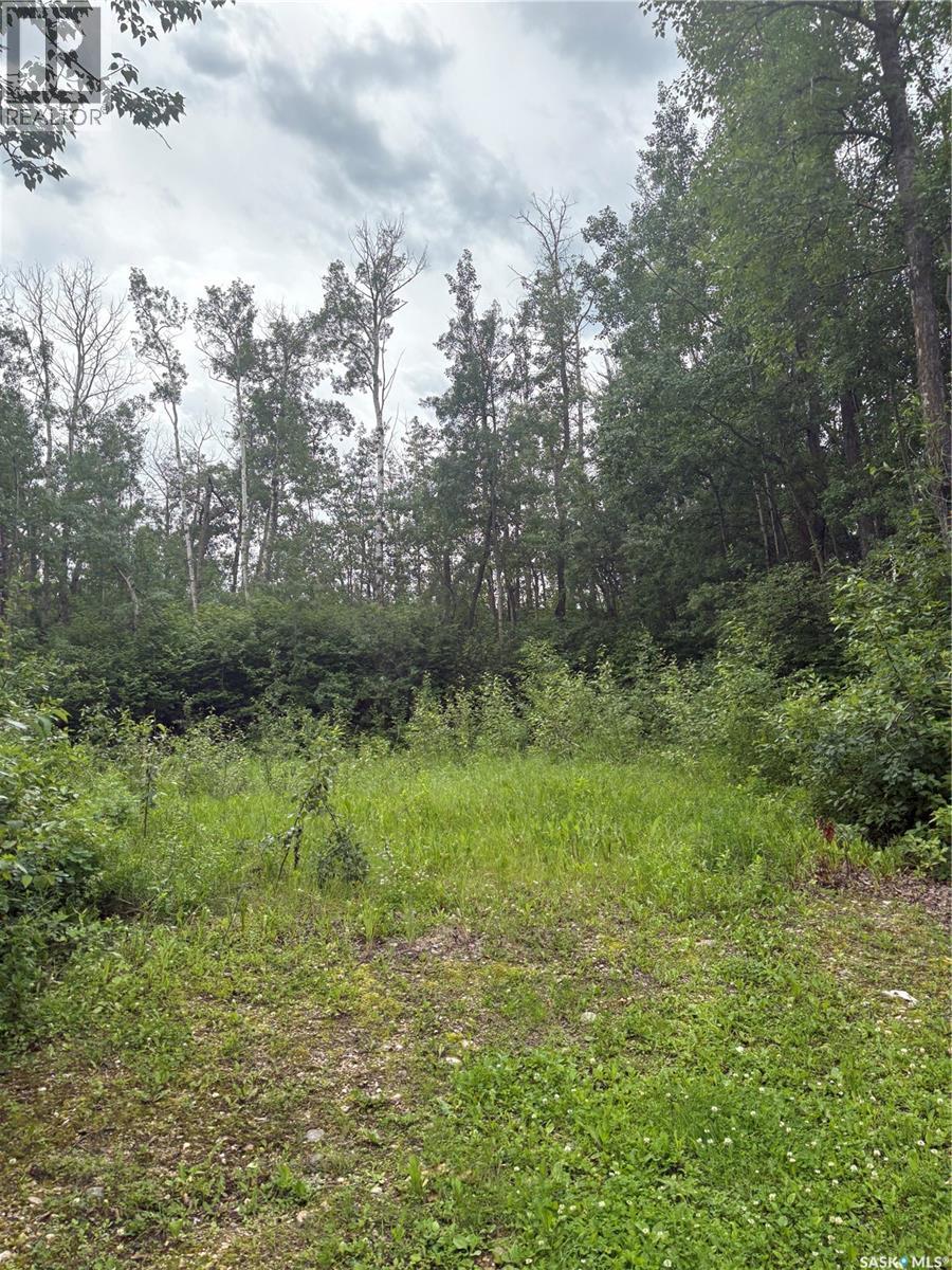 Joanette Dr Lot, Leask Rm No. 464, Saskatchewan S0J 1M0 - Photo 1 - SK042578