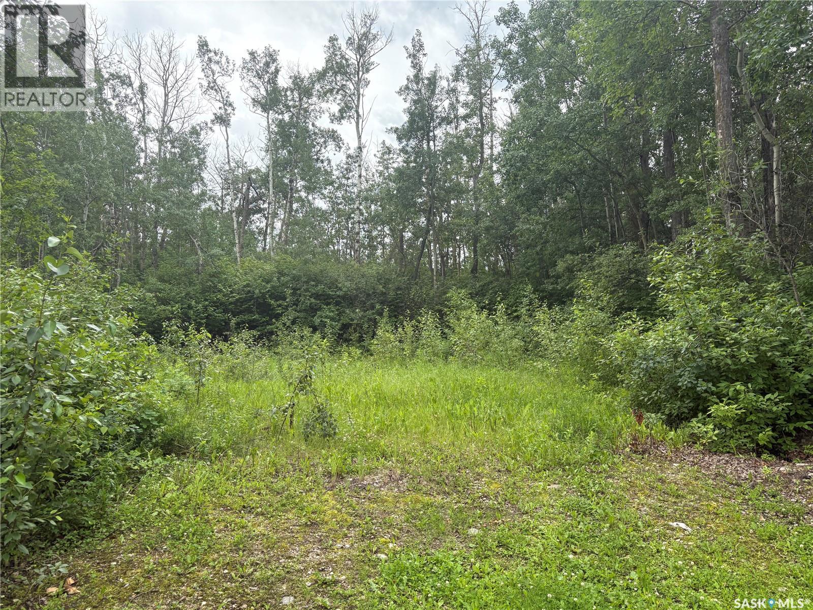 Joanette Dr Lot, Leask Rm No. 464, Saskatchewan S0J 1M0 - Photo 2 - SK042578