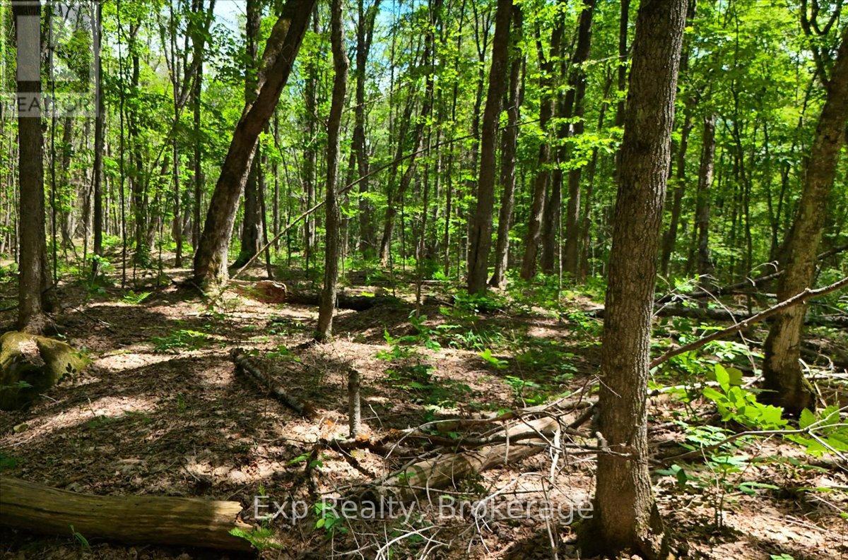 Lot 0 Contau Lake Road, Highlands East (Glamorgan), Ontario  K0M 1X0 - Photo 13 - X13572788