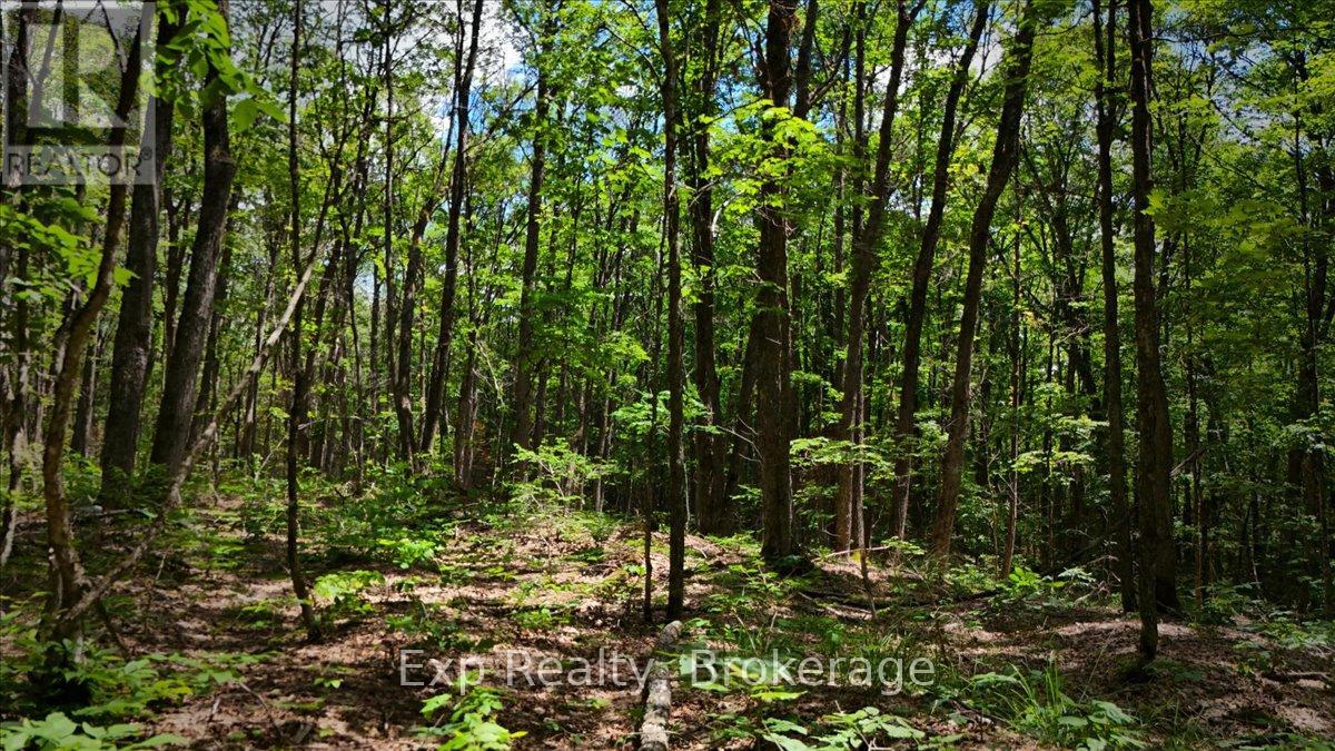 Lot 0 Contau Lake Road, Highlands East (Glamorgan), Ontario  K0M 1X0 - Photo 15 - X13572788