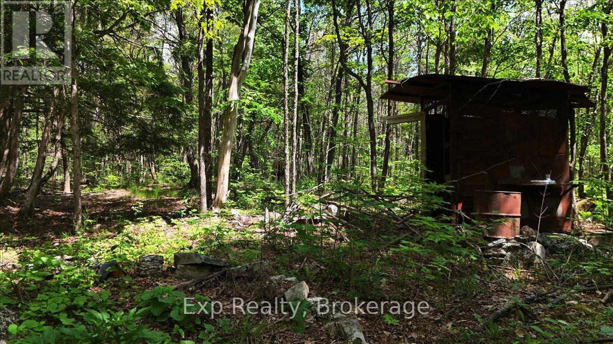 Lot 0 Contau Lake Road, Highlands East (Glamorgan), Ontario  K0M 1X0 - Photo 11 - X13572788