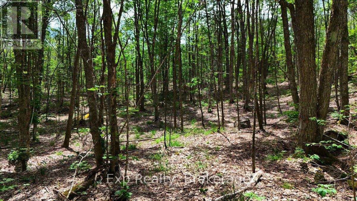 Lot 0 Contau Lake Road, Highlands East (Glamorgan), Ontario  K0M 1X0 - Photo 12 - X13572788