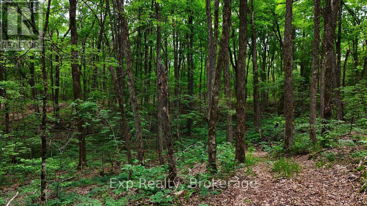 Lot 0 Contau Lake Road, Highlands East (Glamorgan), Ontario  K0M 1X0 - Photo 18 - X13572788