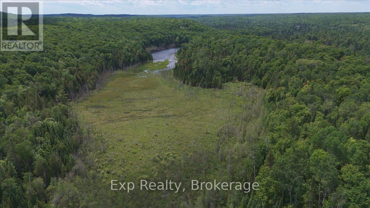Lot 0 Contau Lake Road, Highlands East (Glamorgan), Ontario  K0M 1X0 - Photo 23 - X13572788