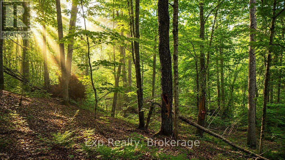 Lot 0 Contau Lake Road, Highlands East (Glamorgan), Ontario  K0M 1X0 - Photo 2 - X13572788