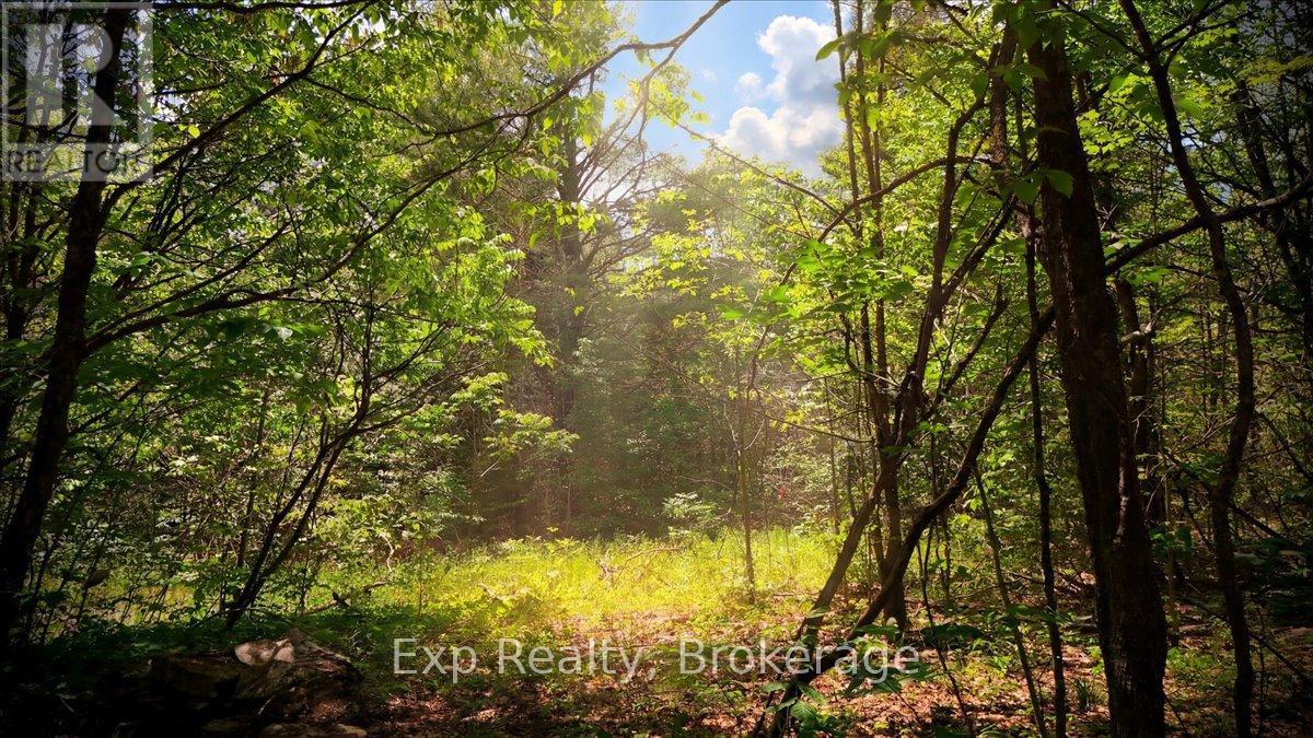 Lot 0 Contau Lake Road, Highlands East (Glamorgan), Ontario  K0M 1X0 - Photo 7 - X13572788