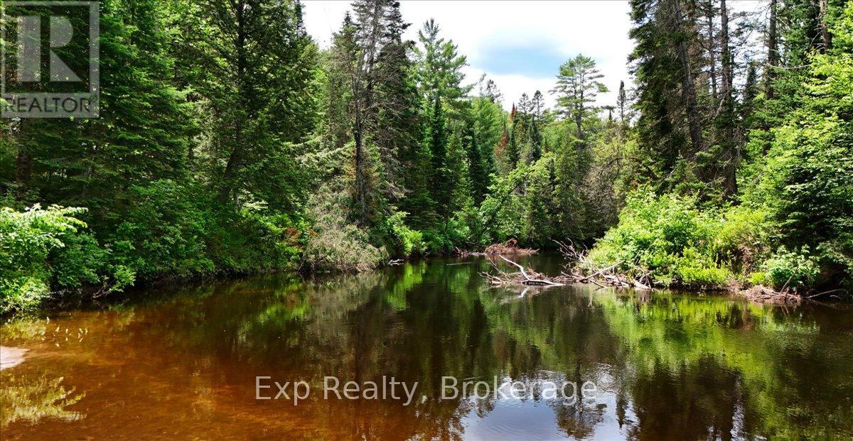 Lot 0 Contau Lake Road, Highlands East (Glamorgan), Ontario  K0M 1X0 - Photo 6 - X13572788