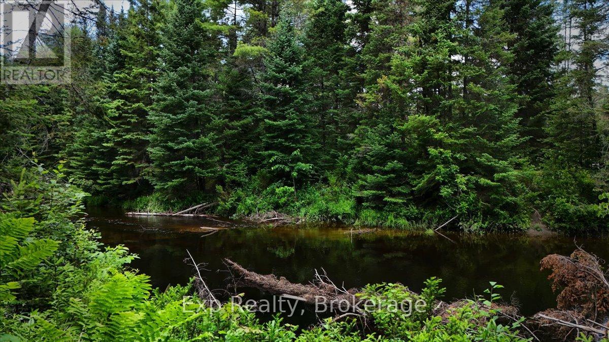 Lot 0 Contau Lake Road, Highlands East (Glamorgan), Ontario  K0M 1X0 - Photo 9 - X13572788