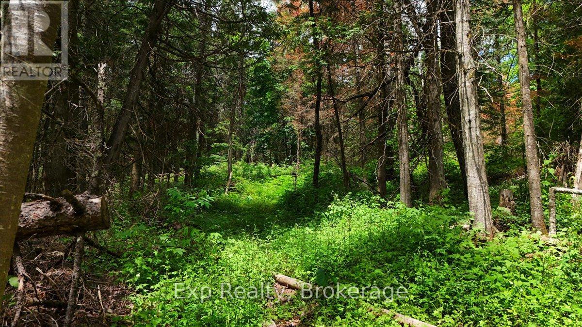 Lot 0 Contau Lake Road, Highlands East (Glamorgan), Ontario  K0M 1X0 - Photo 20 - X13572788