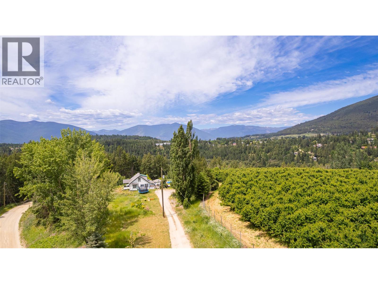 3692 46th Street, Canyon, British Columbia V0B 1C1 - Photo 35 - 10390803