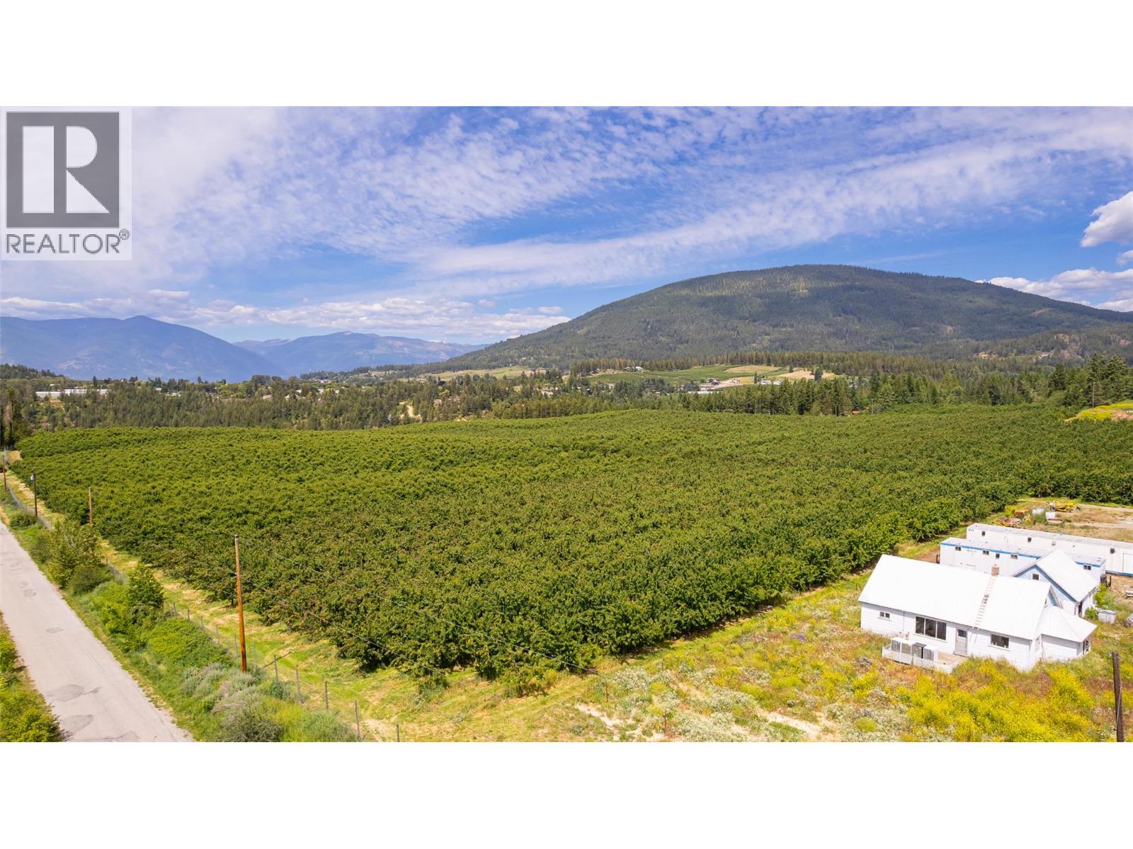 Parcel A 46th Street, Canyon, British Columbia V0B 1C1 - Photo 9 - 10390590
