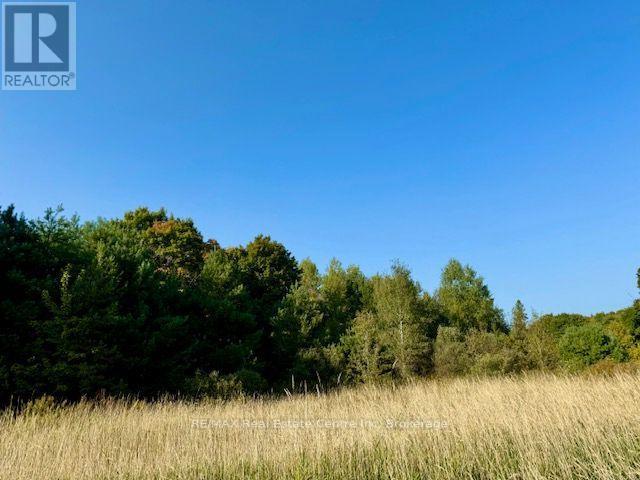 0 HWY 35 ROAD, Kawartha Lakes (Laxton/Digby/Longford)