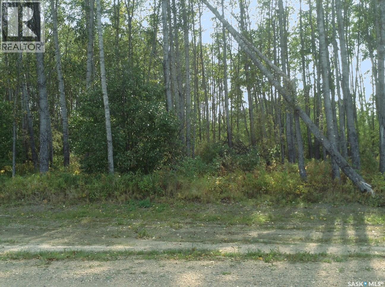 6 Pelly Street, Delaronde Lake, Saskatchewan  S0J 0E0 - Photo 10 - SK042869