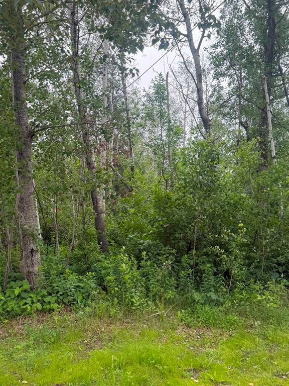 17 Kenmare Bay, Alexander Rm, Manitoba  R0E 2C0 - Photo 1 - 202616877