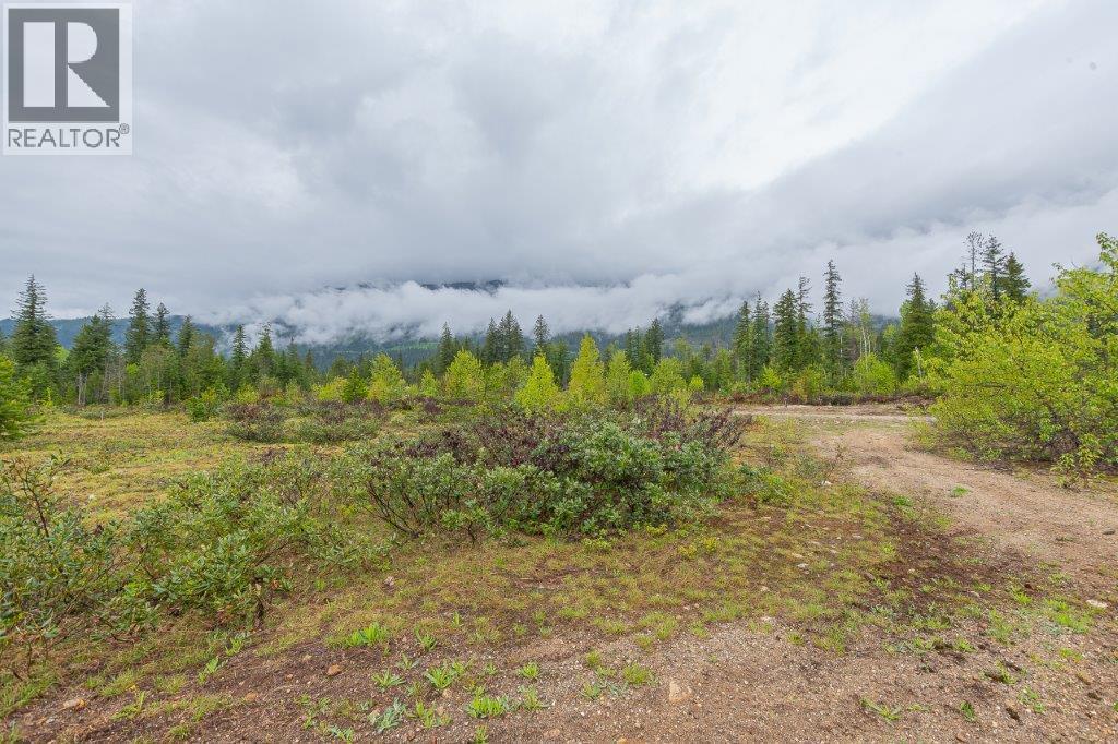 4103 Balsam Way, Malakwa, BC V0E 2J0