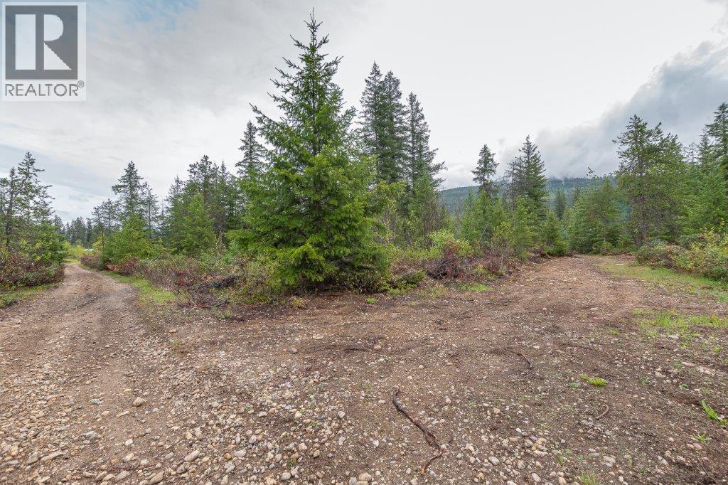 4103 Balsam Way, Malakwa, BC V0E 2J0