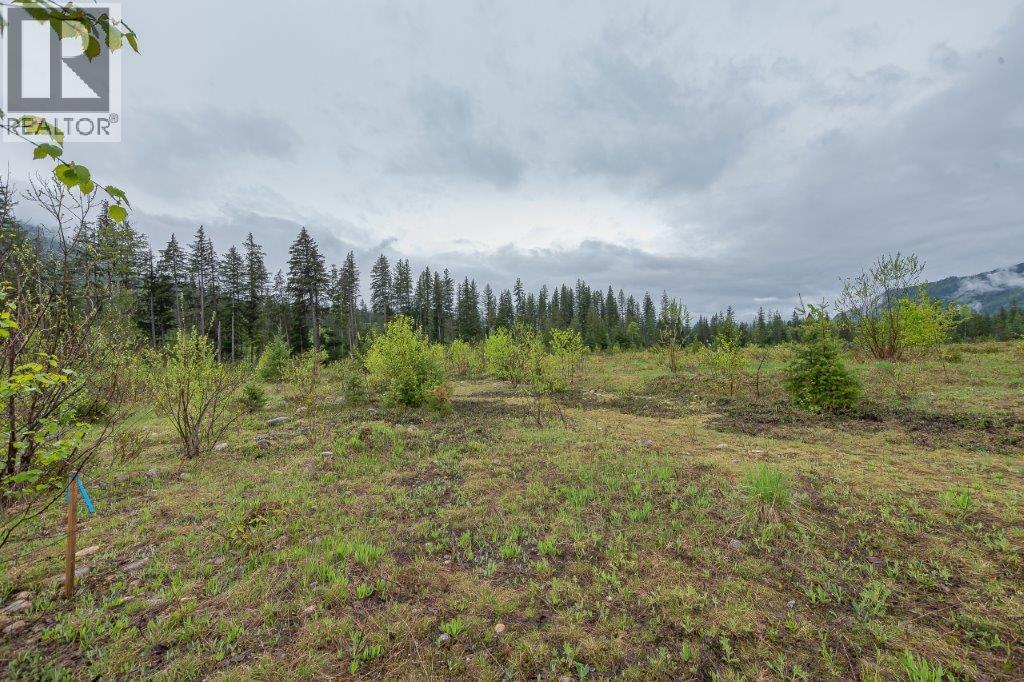 4103 Balsam Way, Malakwa, BC V0E 2J0