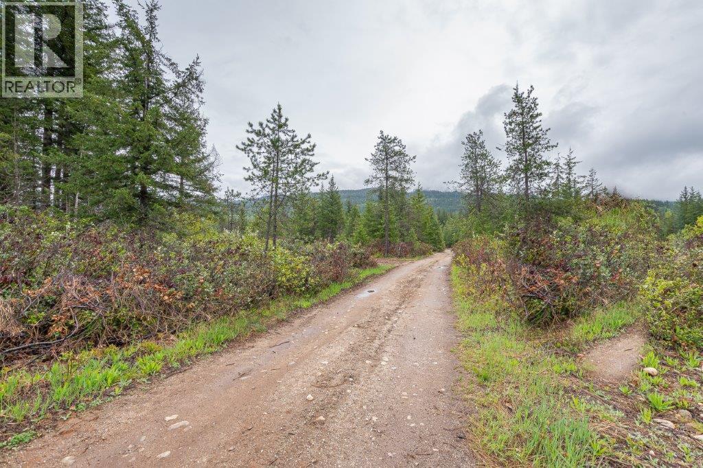 4103 Balsam Way, Malakwa, BC V0E 2J0