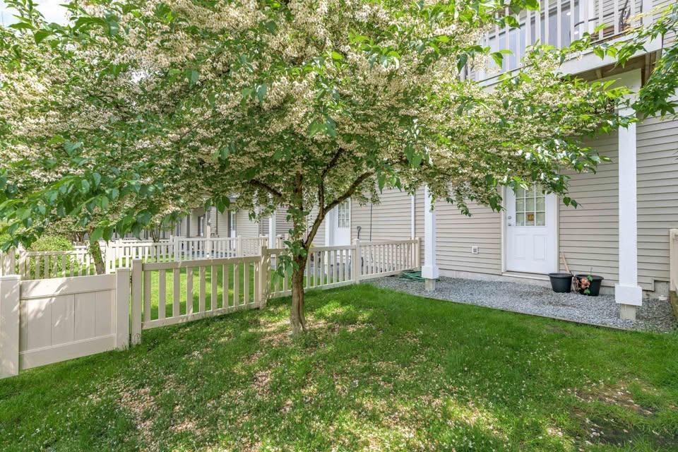 97 15175 62A AVENUE, surrey, British Columbia