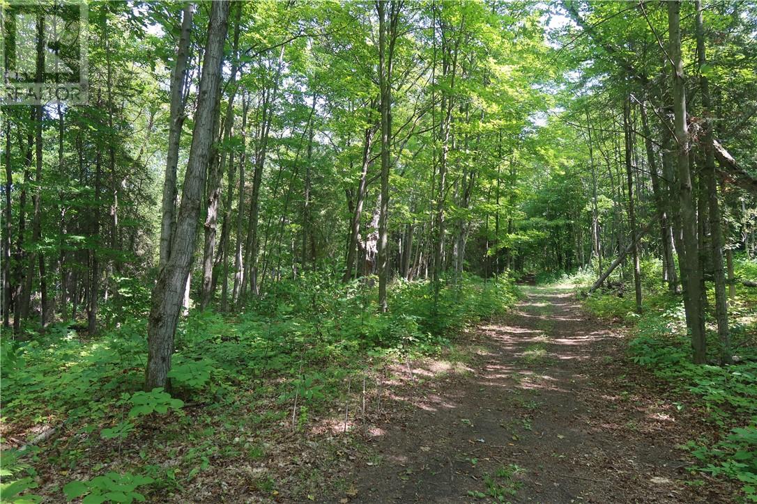 272 Perry Ave, Killarney, Ontario  P0M 2A0 - Photo 17 - 2129240