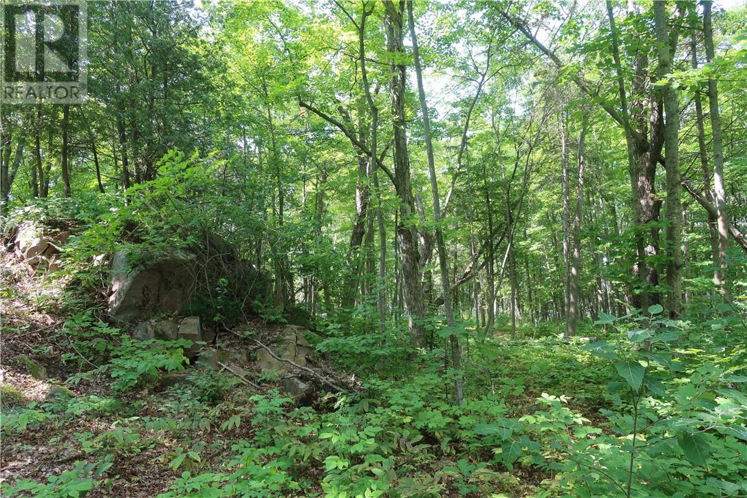 272 Perry Ave, Killarney, Ontario  P0M 2A0 - Photo 20 - 2129240