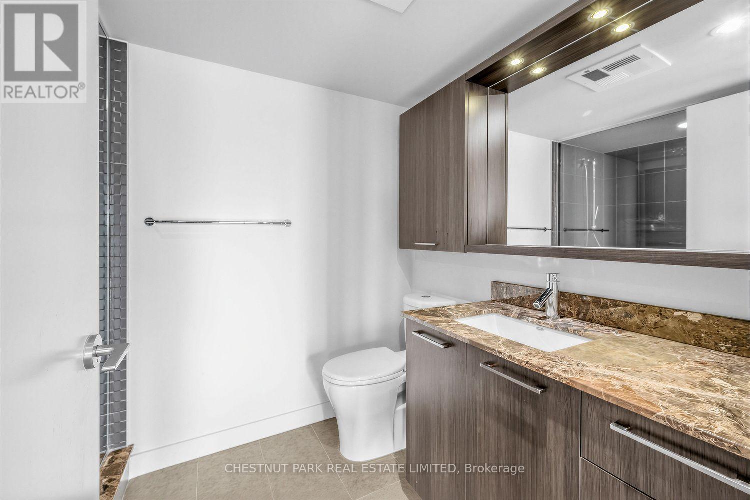 703 - 78 Tecumseth Street, Toronto, Ontario M5V 0A9 - Photo 17 - C13575200