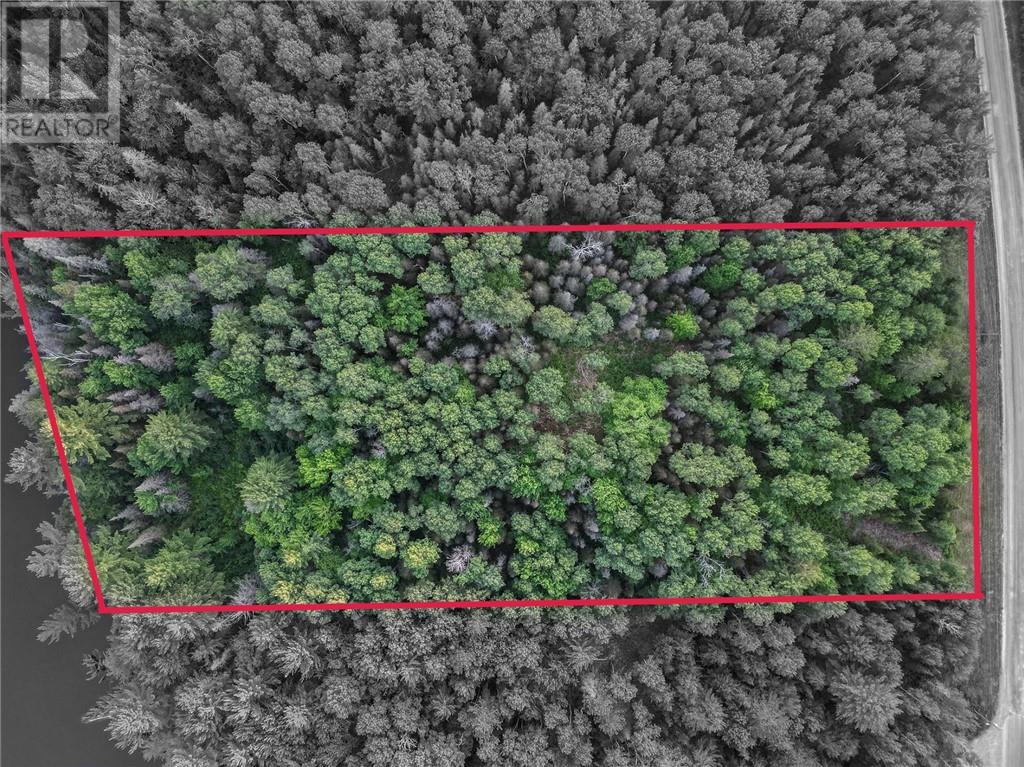 382 Old Webbwood Road Unit# Lot 8, Webbwood, Ontario  P0P 2G0 - Photo 3 - 2129278