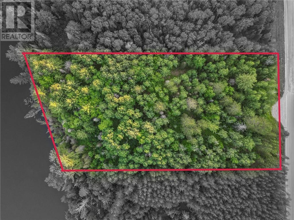 382 Old Webbwood Road Unit# Lot 9, Webbwood, Ontario  P0P 2G0 - Photo 3 - 2129276