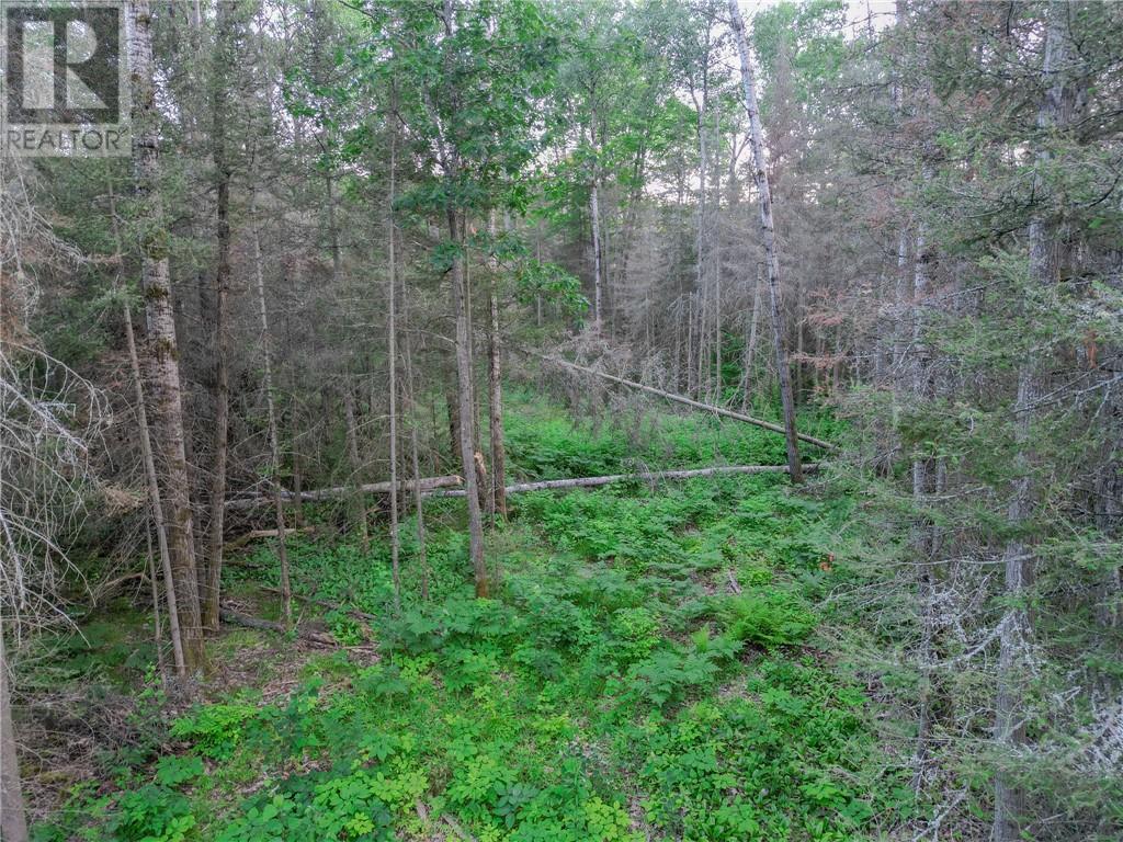 382 Old Webbwood Road Unit# Lot 1, Webbwood, Ontario  P0P 2G0 - Photo 11 - 2129268