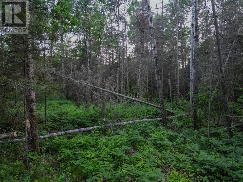 382 Old Webbwood Road Unit# Lot 1, Webbwood, Ontario  P0P 2G0 - Photo 12 - 2129268