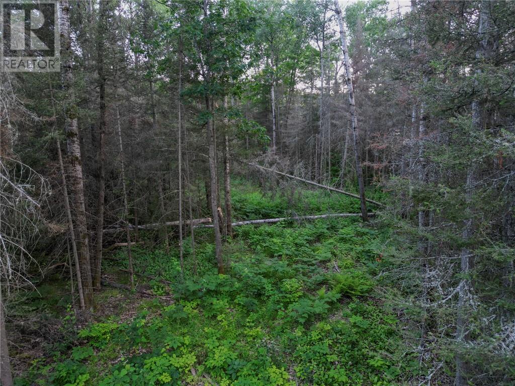 382 Old Webbwood Road Unit# Lot 1, Webbwood, Ontario  P0P 2G0 - Photo 13 - 2129268