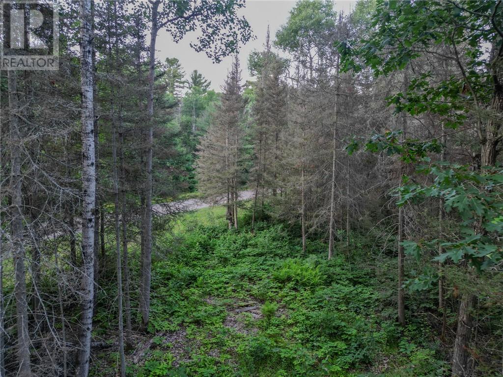 382 Old Webbwood Road Unit# Lot 1, Webbwood, Ontario  P0P 2G0 - Photo 5 - 2129268