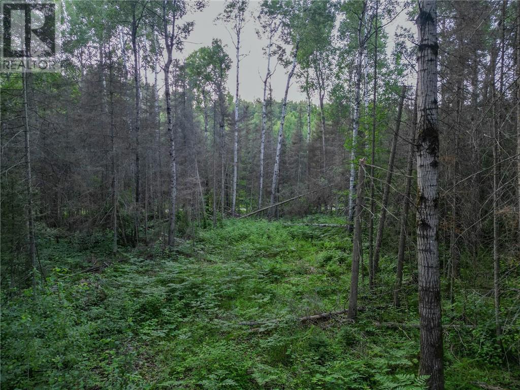 382 Old Webbwood Road Unit# Lot 1, Webbwood, Ontario  P0P 2G0 - Photo 6 - 2129268
