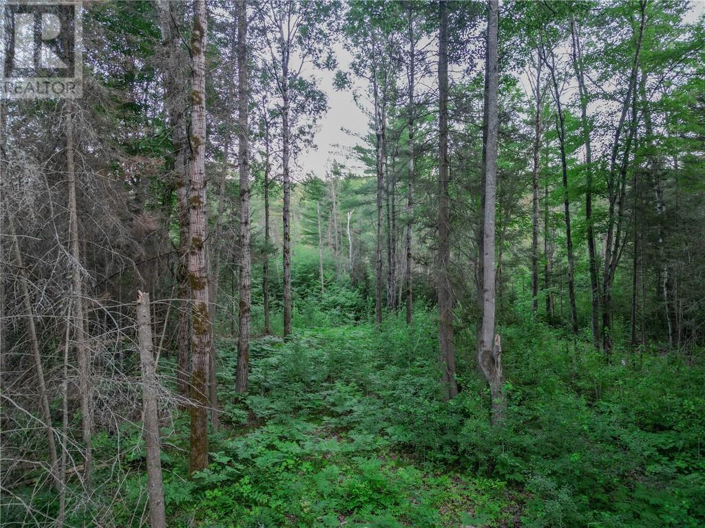 382 Old Webbwood Road Unit# Lot 1, Webbwood, Ontario  P0P 2G0 - Photo 8 - 2129268