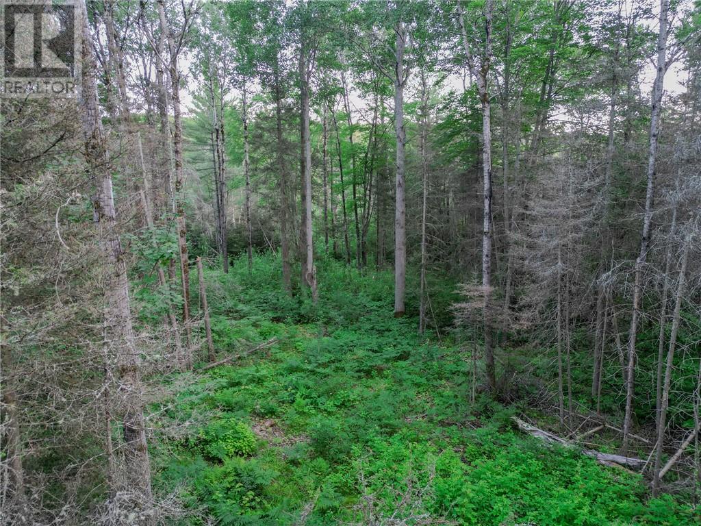 382 Old Webbwood Road Unit# Lot 1, Webbwood, Ontario  P0P 2G0 - Photo 9 - 2129268