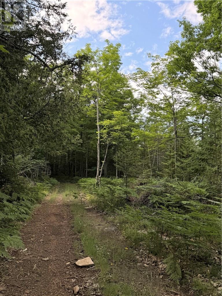 90 Clarke Rd, Gore Bay, Ontario  P0P 1H0 - Photo 39 - 2129117